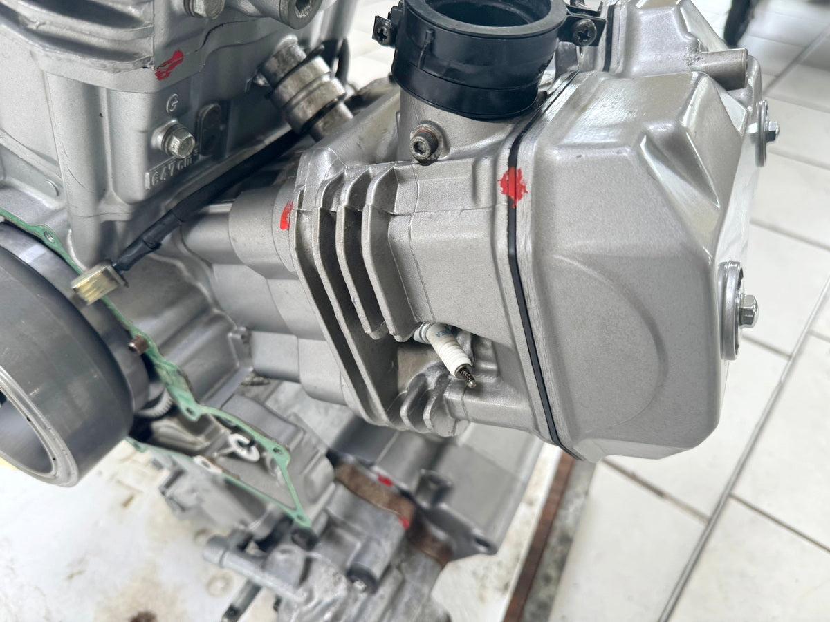 HONDA NTV 650 RC33 REVERE Motor Kurbelwelle Zylinderkopf Getriebe Kupplung 17567
