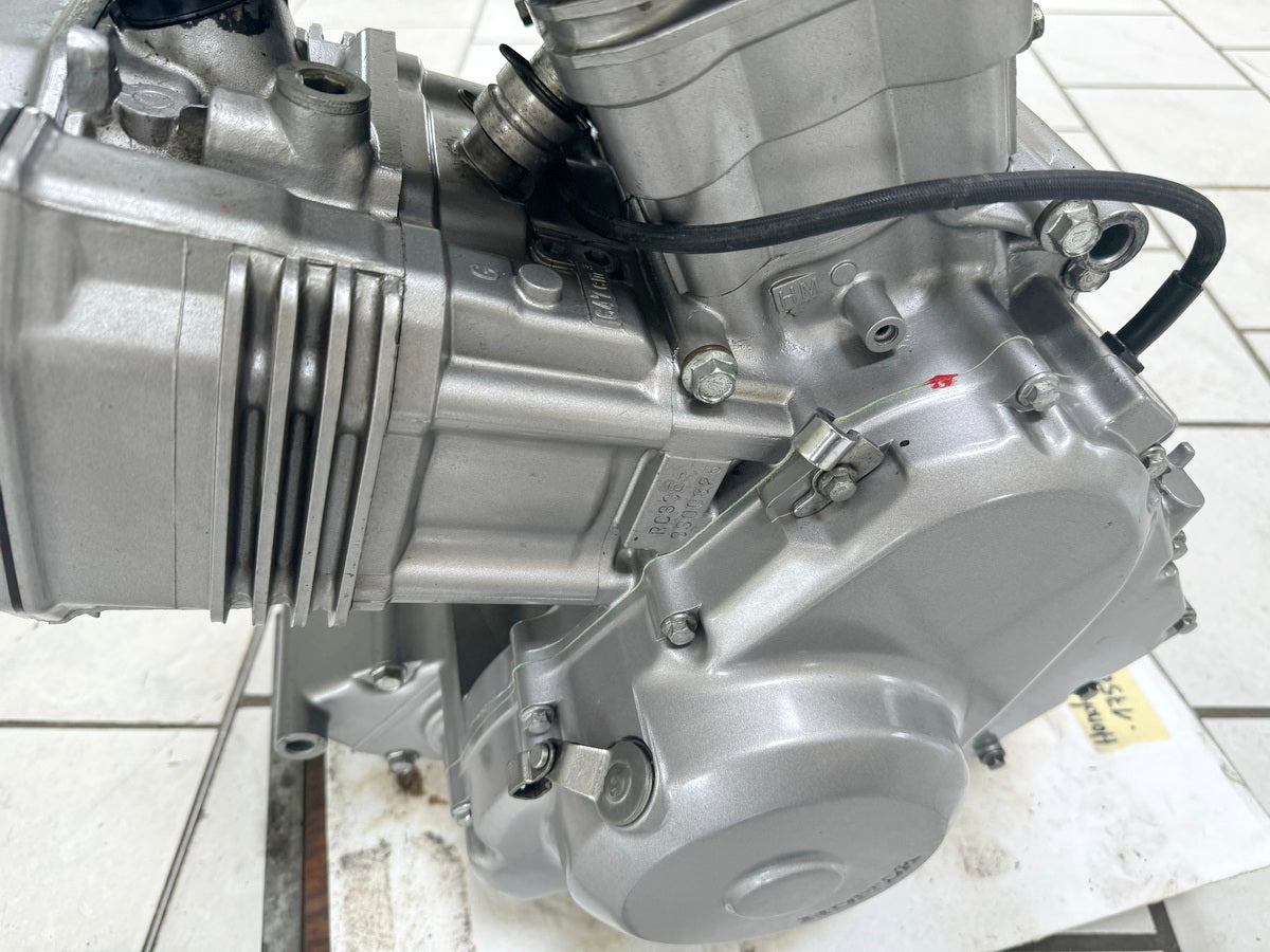 HONDA NTV 650 RC33 REVERE Motor Kurbelwelle Zylinderkopf Getriebe Kupplung 17567