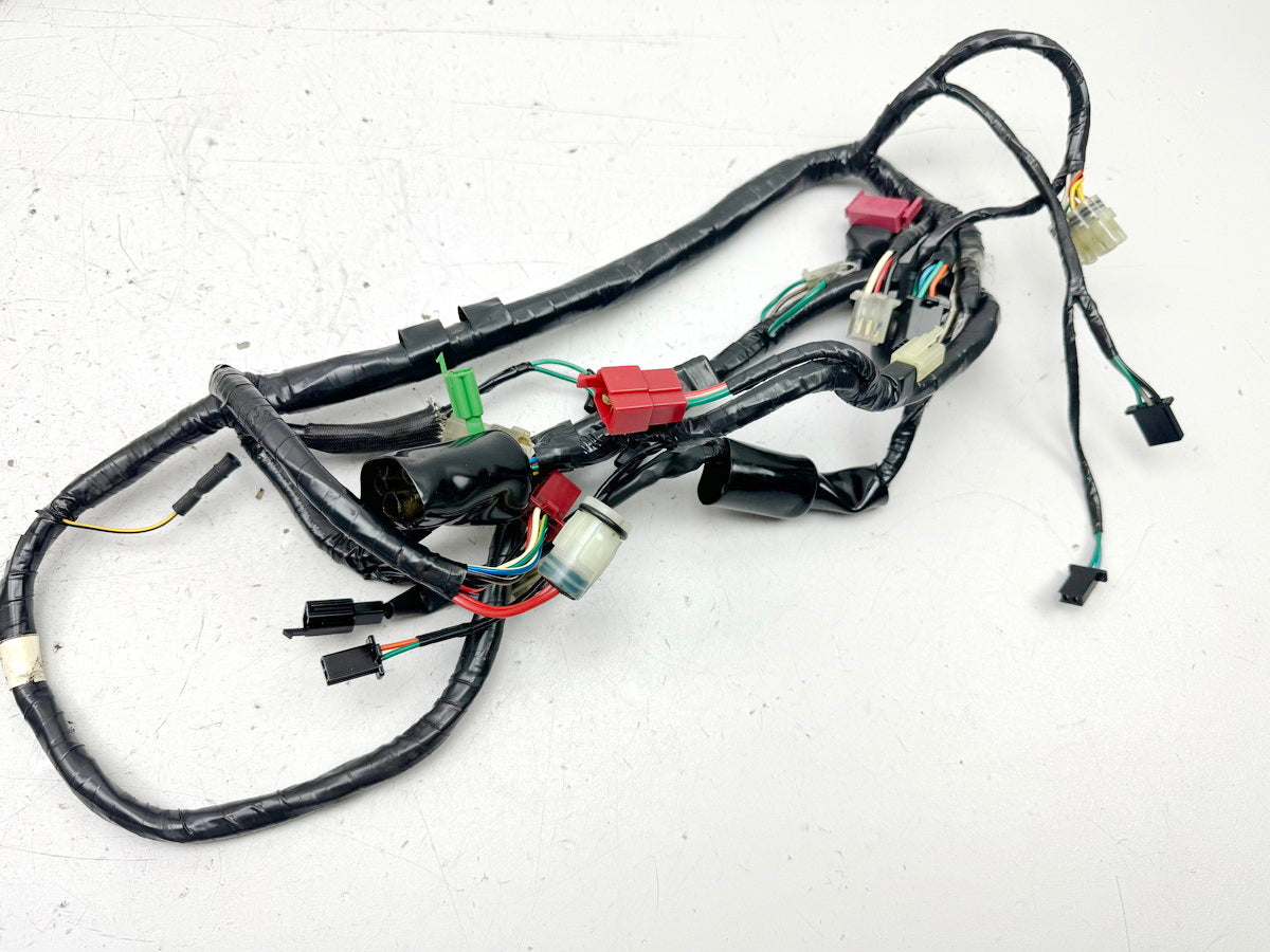 HONDA NX 650 RD08 DOMINATOR Wiring Harness Main Wiring Harness Wire Harness for Engine