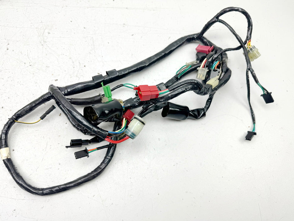 HONDA NX 650 RD08 DOMINATOR Mazos de cables Mazo de cables principal para el motor