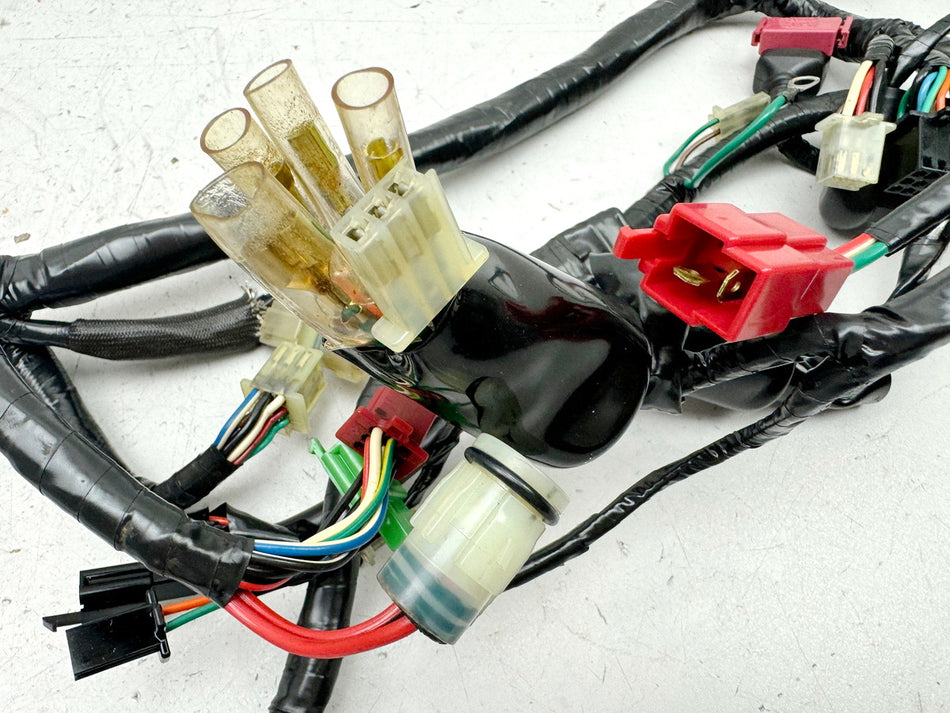 HONDA NX 650 RD08 DOMINATOR Mazos de cables Mazo de cables principal para el motor