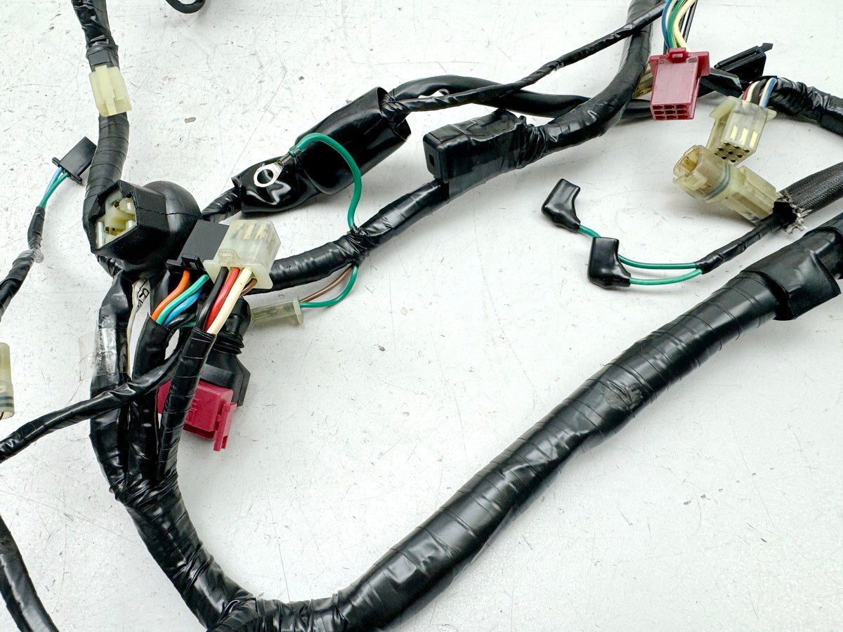 HONDA NX 650 RD08 DOMINATOR Wiring Harness Main Wiring Harness Wire Harness for Engine