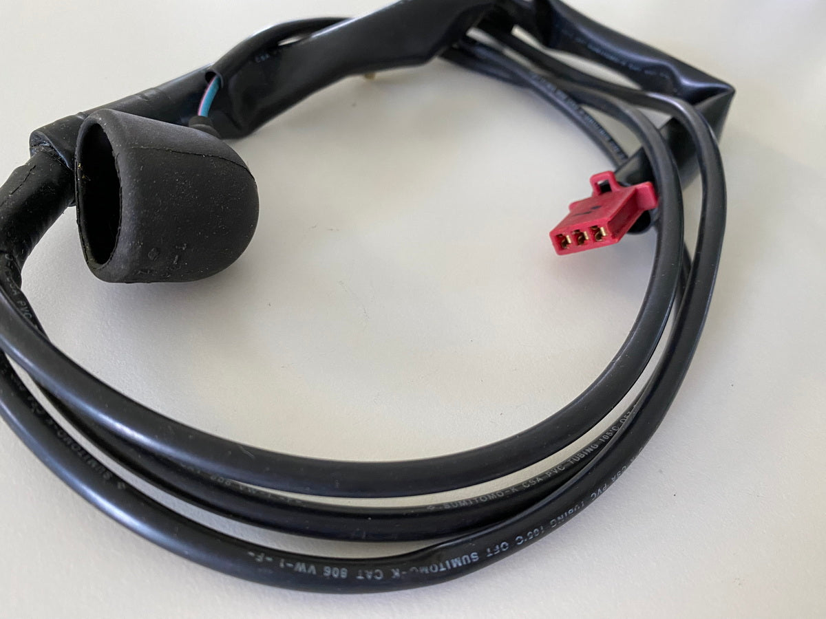 HONDA CBR 600 PC31 Cableado Interruptor Neutral Interruptor Presión Aceite Cable