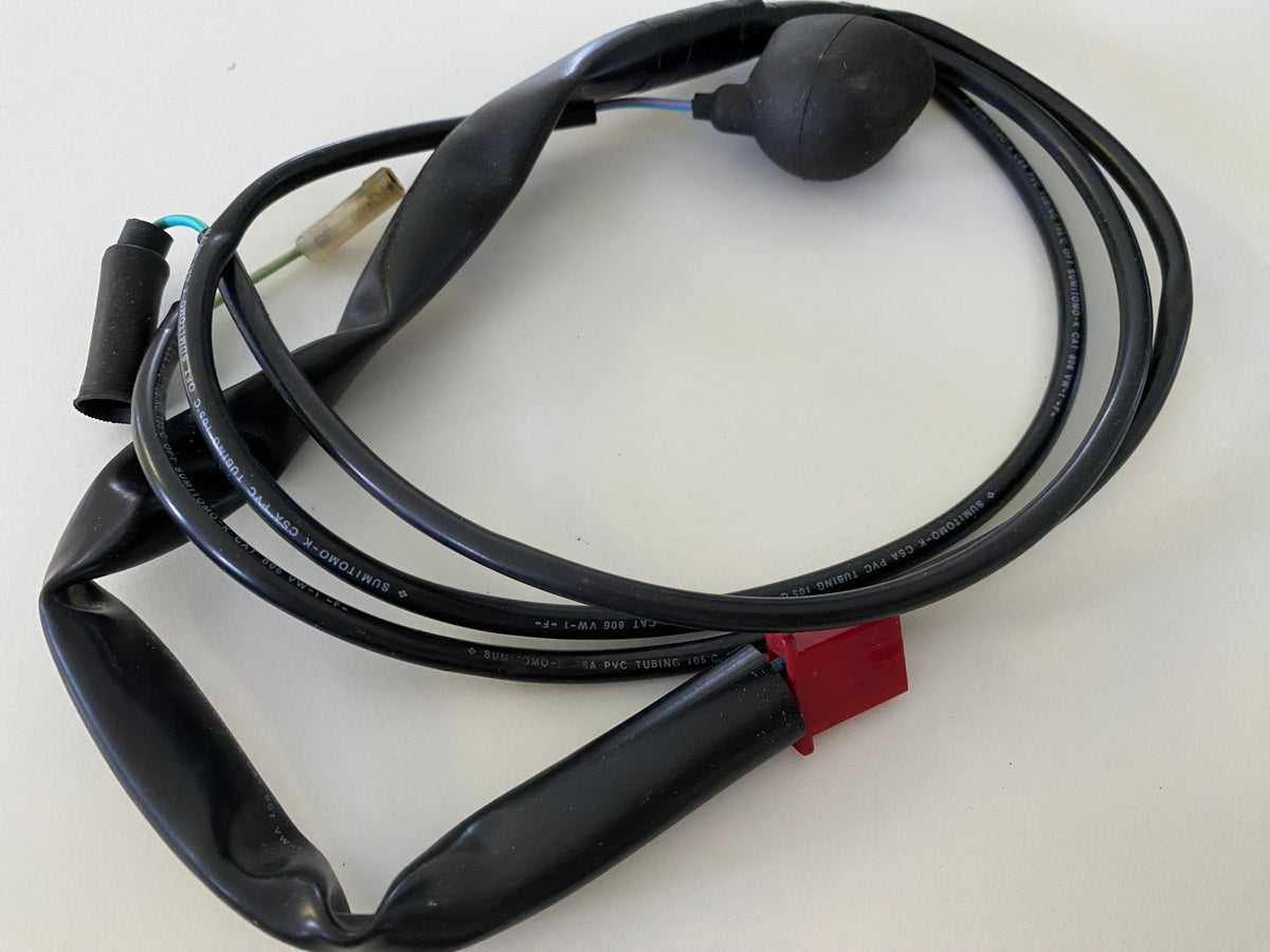 HONDA CBR 600 PC31 Cableado Interruptor Neutral Interruptor Presión Aceite Cable