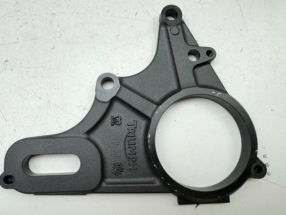 TRIUMPH SPEED TRIPLE 1050 R ABS NN01 Anchor Plate Rear Brake Caliper Mount