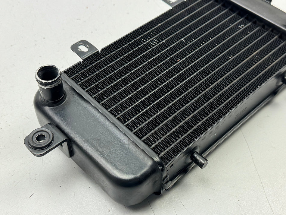 BMW C1 125 200 ABS Radiador original (para circuito de refrigeración del motor)