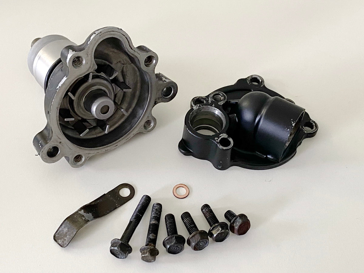 Kawasaki EL 252 EL 250B Eliminator Wasserpumpe Motordeckel Cover Motor Pumpenrad