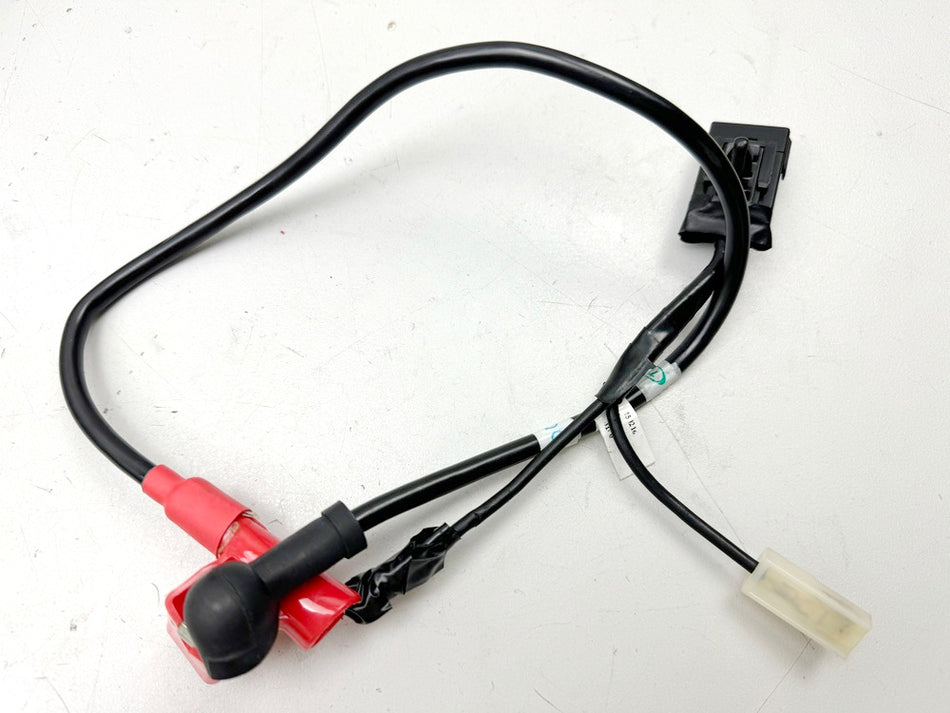 TRIUMPH SPEED TRIPLE 1050R ABS NN01 Pluskabel Kabel Batterie (für Kabelbaum)