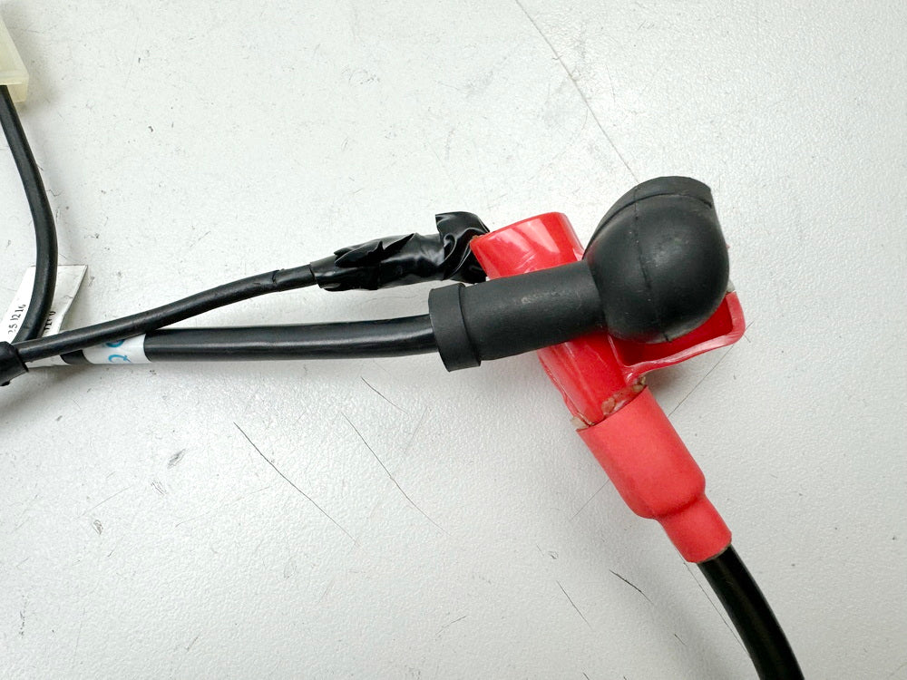 TRIUMPH SPEED TRIPLE 1050R ABS NN01 Pluskabel Kabel Batterie (für Kabelbaum)