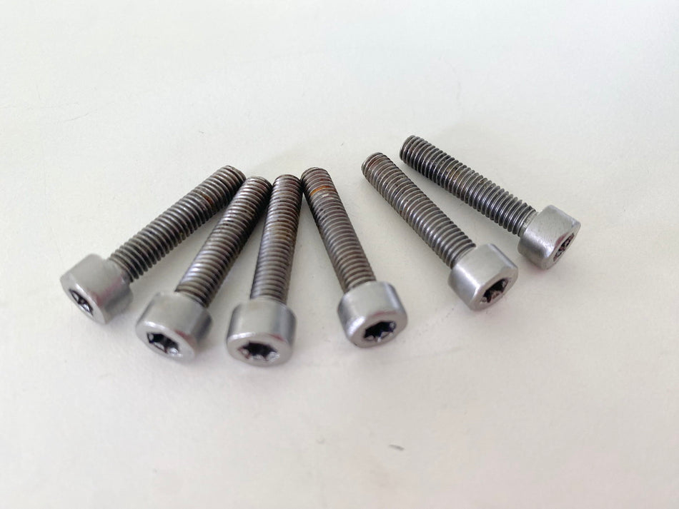 BMW R 1100 GS 259 850 Screws Fuel Cap Torx Screw (for Tank)