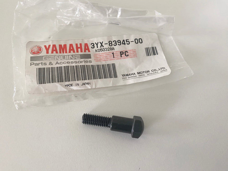 YAMAHA FZS TDM XJ XJR YZF original Schraube Hebel Screw Bolt - NEU