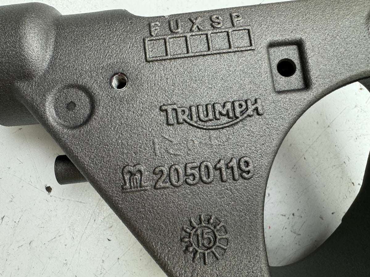 TRIUMPH SPEED TRIPLE 1050 R ABS NN01 Schwinge Hinterradschwinge Swingarm