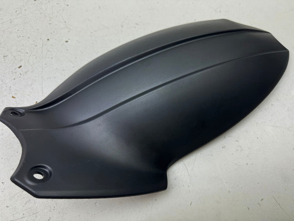 TRIUMPH SPEED TRIPLE 1050 R ABS NN01 Hinterradabdeckung Kotflügel Radlauf Fender