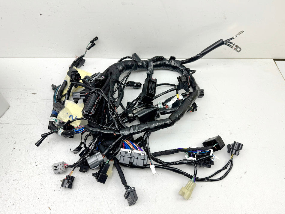 TRIUMPH SPEED TRIPLE 1050 R ABS NN01 Wiring Harness Main Wiring Harness Wiring Loom