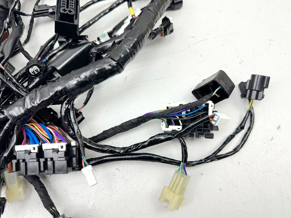 TRIUMPH SPEED TRIPLE 1050 R ABS NN01 Wiring Harness Main Wiring Harness Wiring Loom