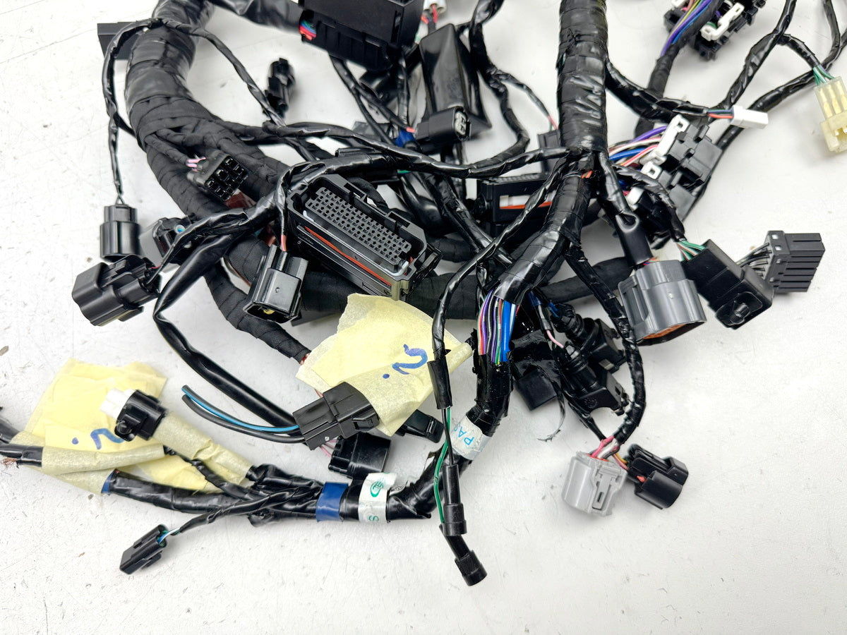 TRIUMPH SPEED TRIPLE 1050 R ABS NN01 Wiring Harness Main Wiring Harness Wiring Loom