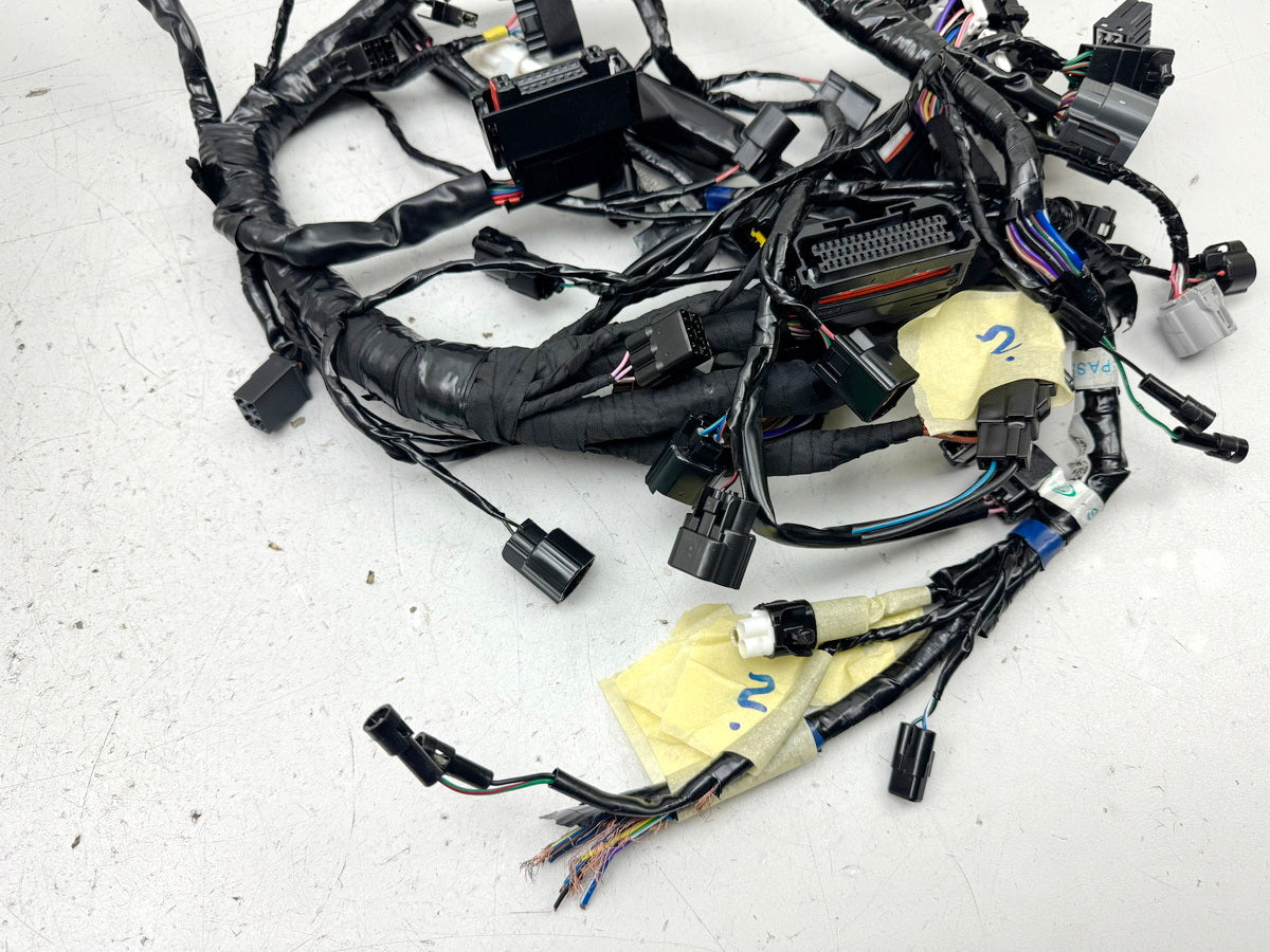 TRIUMPH SPEED TRIPLE 1050 R ABS NN01 Wiring Harness Main Wiring Harness Wiring Loom