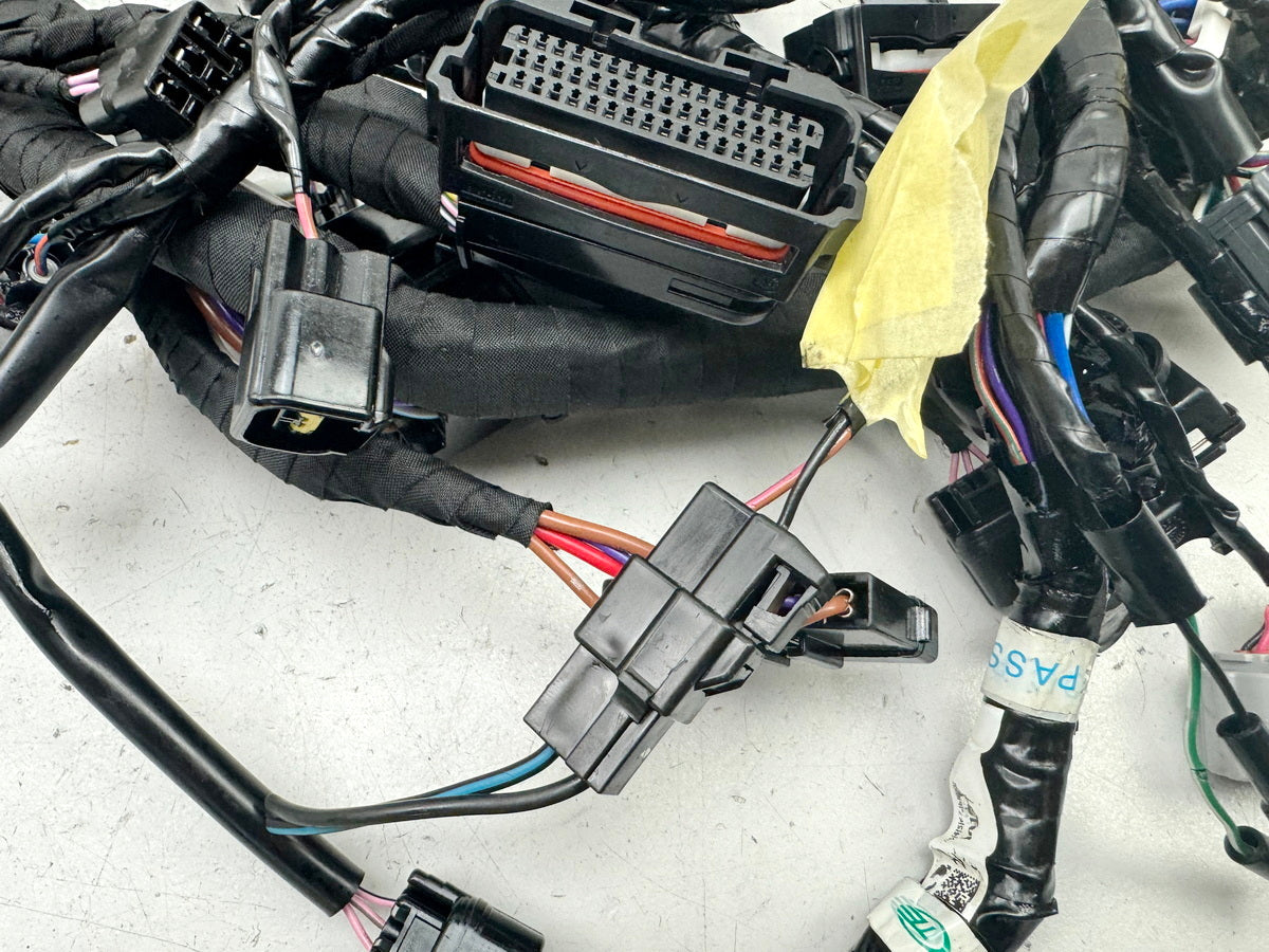 TRIUMPH SPEED TRIPLE 1050 R ABS NN01 Wiring Harness Main Wiring Harness Wiring Loom