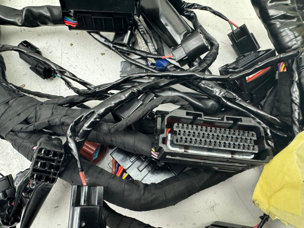 TRIUMPH SPEED TRIPLE 1050 R ABS NN01 Wiring Harness Main Wiring Harness Wiring Loom