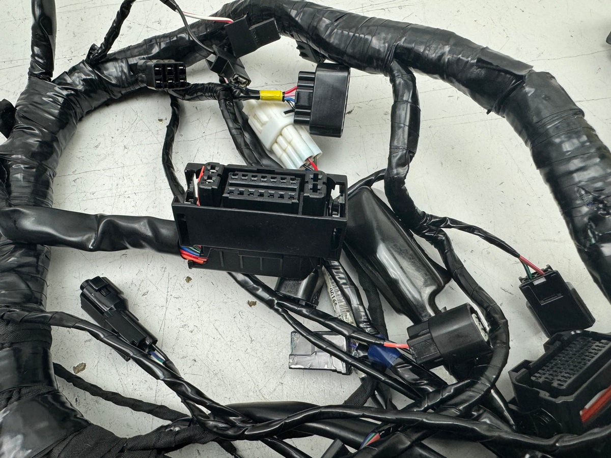TRIUMPH SPEED TRIPLE 1050 R ABS NN01 Wiring Harness Main Wiring Harness Wiring Loom