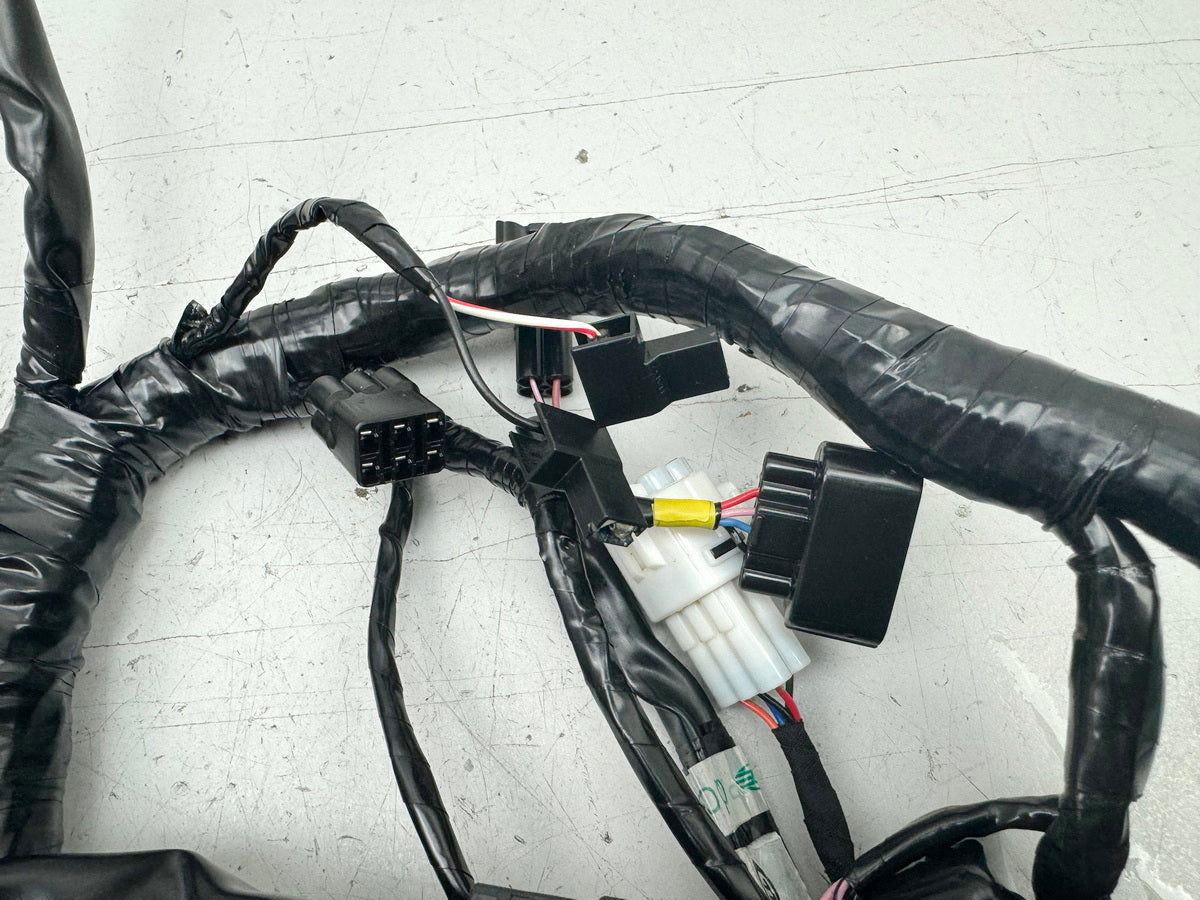 TRIUMPH SPEED TRIPLE 1050 R ABS NN01 Wiring Harness Main Wiring Harness Wiring Loom