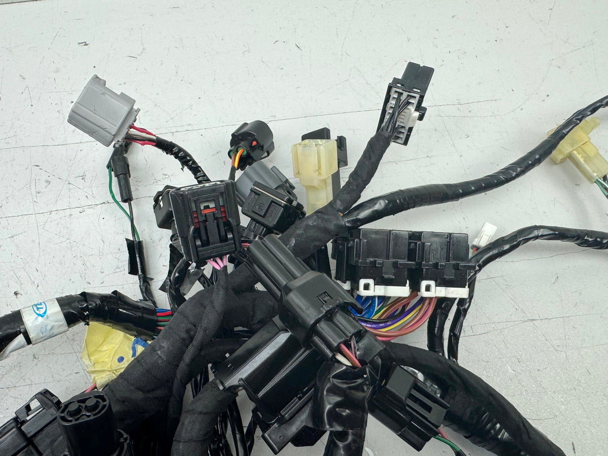 TRIUMPH SPEED TRIPLE 1050 R ABS NN01 Wiring Harness Main Wiring Harness Wiring Loom
