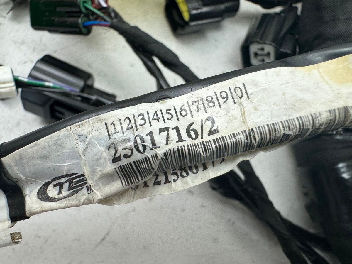 TRIUMPH SPEED TRIPLE 1050 R ABS NN01 Wiring Harness Main Wiring Harness Wiring Loom