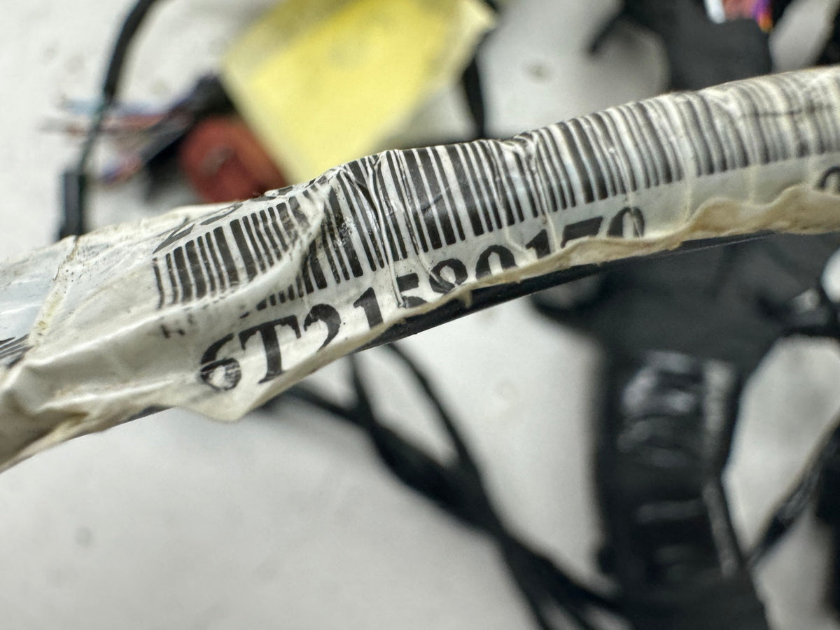 TRIUMPH SPEED TRIPLE 1050 R ABS NN01 Wiring Harness Main Wiring Harness Wiring Loom