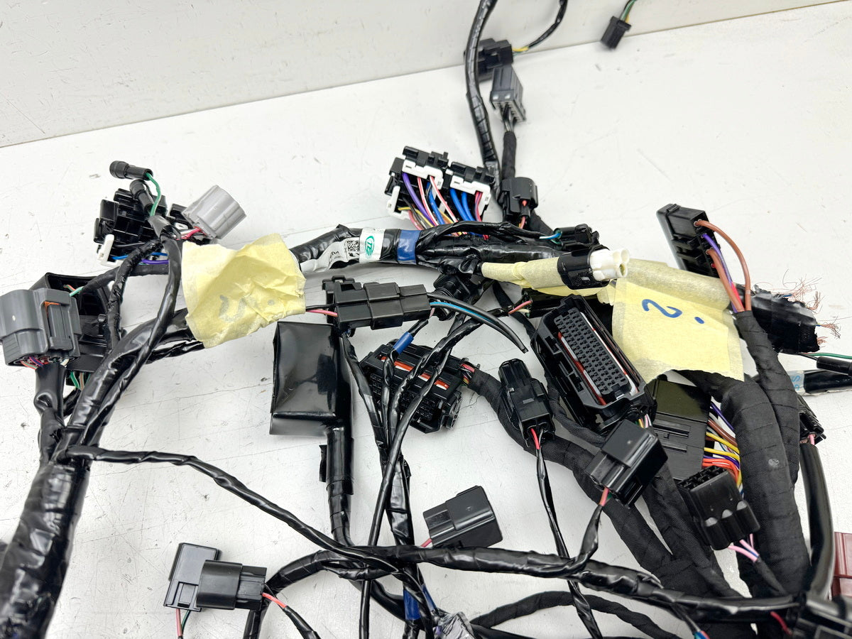 TRIUMPH SPEED TRIPLE 1050 R ABS NN01 Wiring Harness Main Wiring Harness Wiring Loom