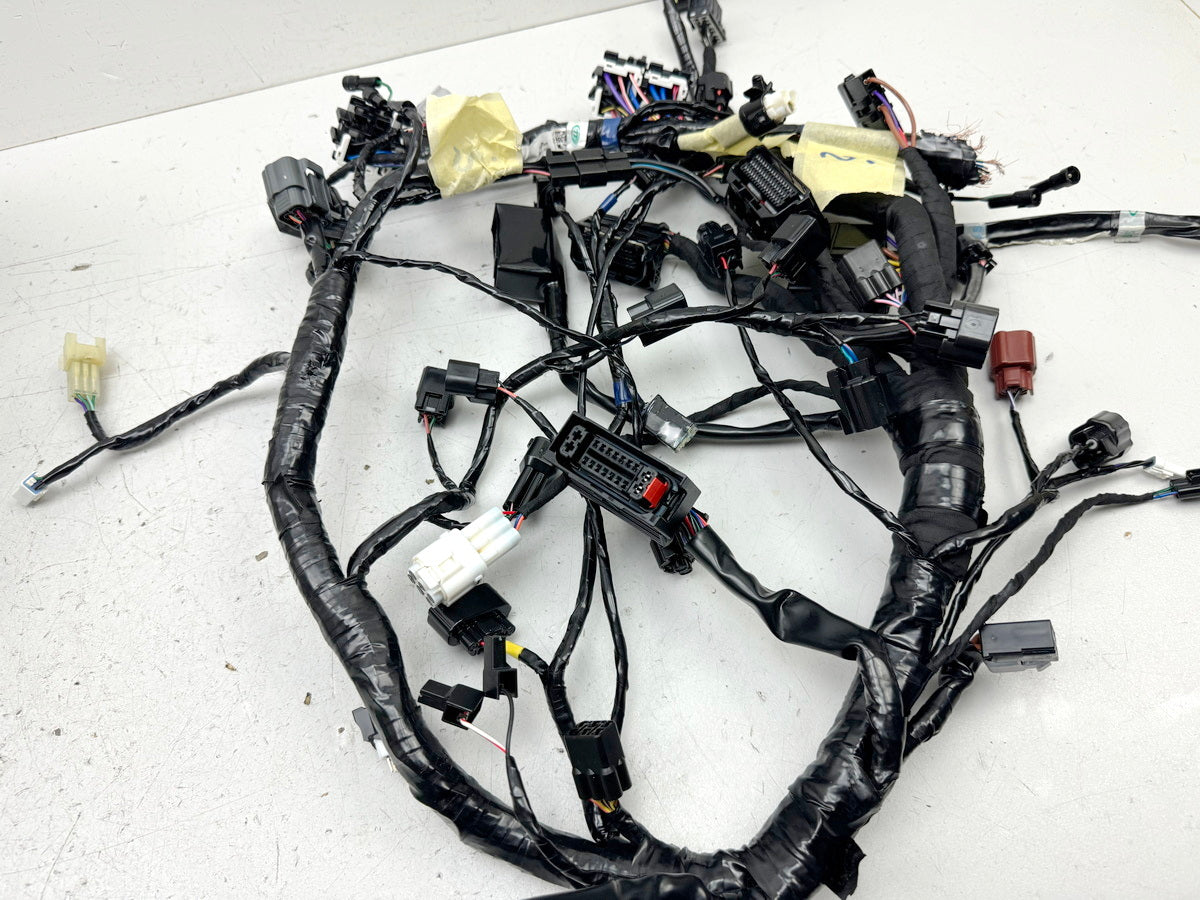 TRIUMPH SPEED TRIPLE 1050 R ABS NN01 Wiring Harness Main Wiring Harness Wiring Loom