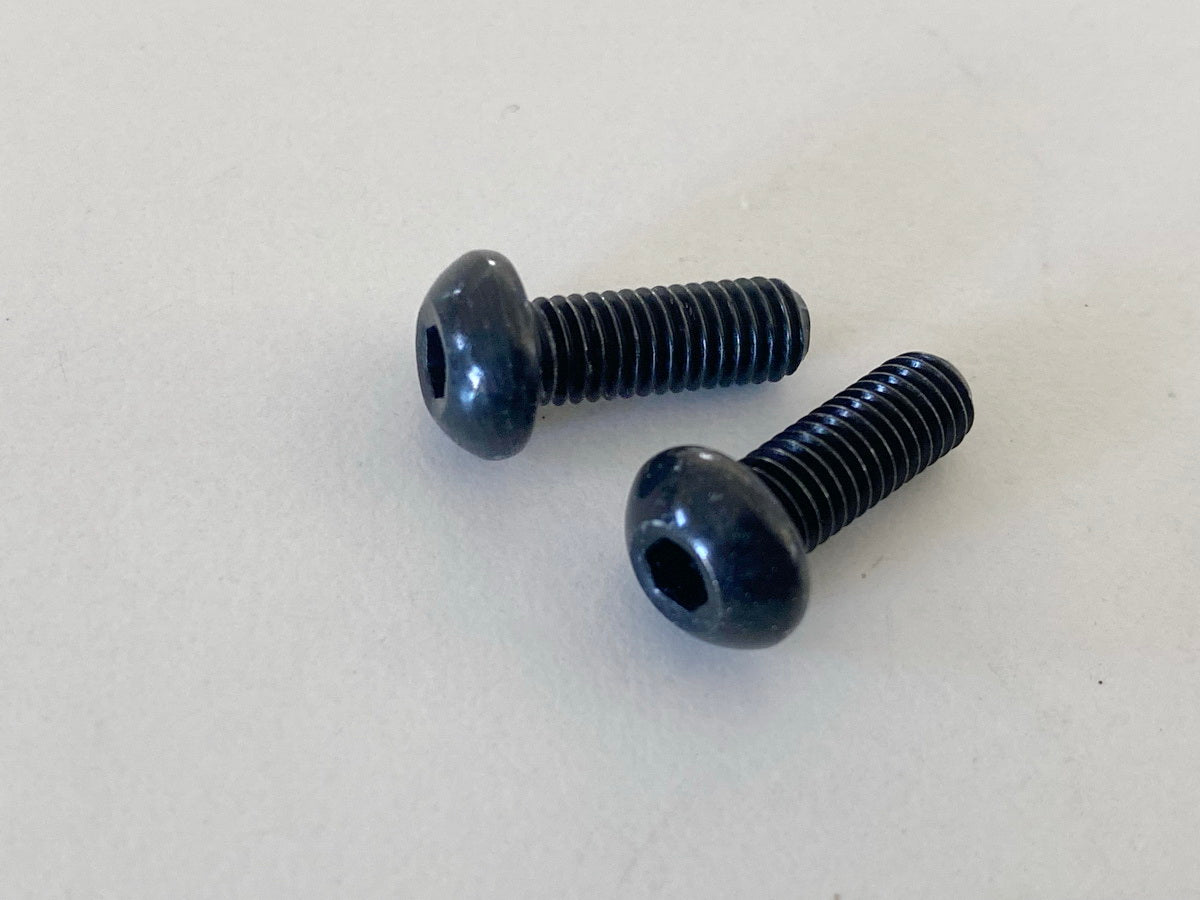 YAMAHA FJR MTM XJR XP XVZ original Screw Screws Case Bag 2 pieces NEW