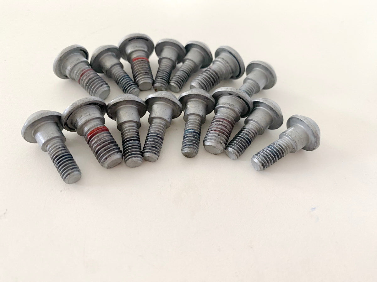 YAMAHA MTN 1000 MT10 RN78 Brake Disc Screws Front & Rear (Rim)