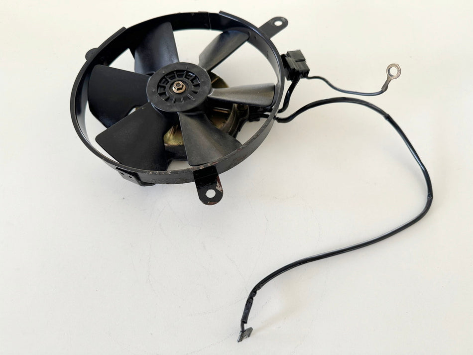 Honda CBR 900 SC28 Lüfter Kühler Lüfterrad Motor Kühlerlüfter Flügelrad  92-95