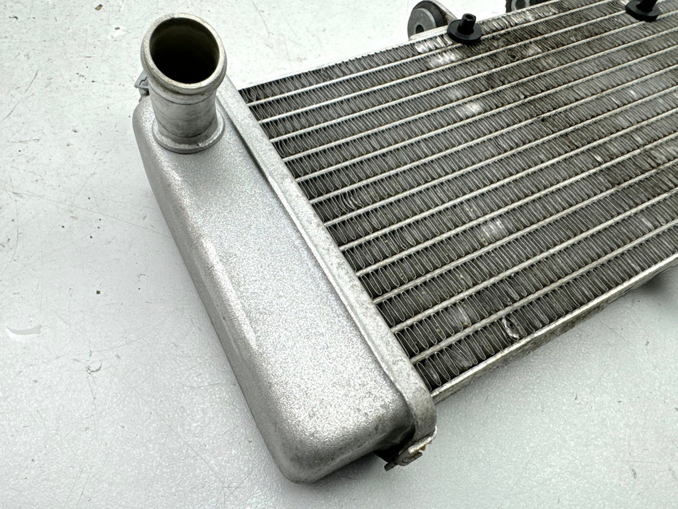 APRILIA RS 125 XA GP Replica Kühler original Wasserkühler Water Cooler