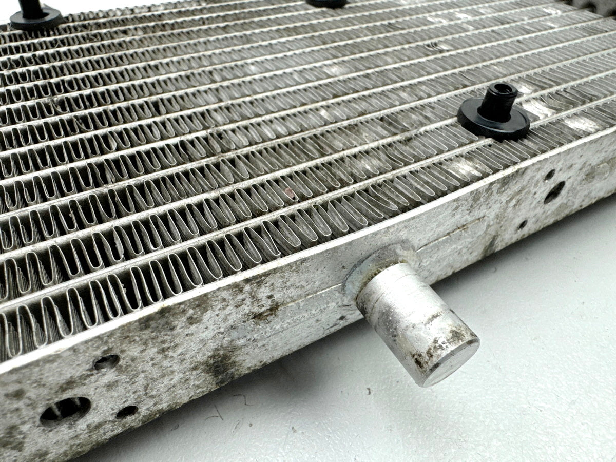 APRILIA RS 125 XA GP Replica Kühler original Wasserkühler Water Cooler