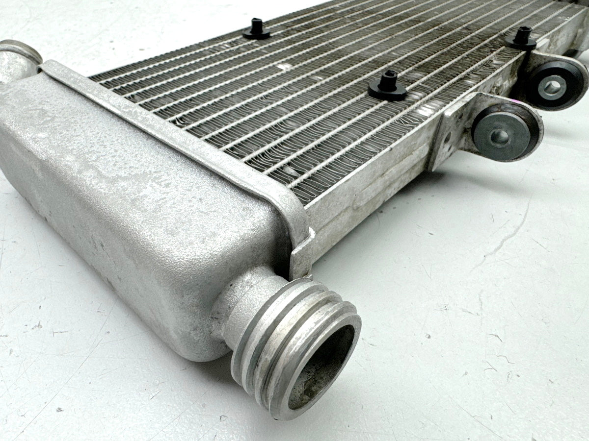 APRILIA RS 125 XA GP Replica Kühler original Wasserkühler Water Cooler