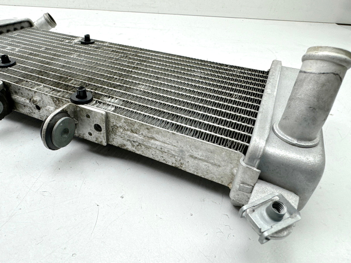 APRILIA RS 125 XA GP Replica Kühler original Wasserkühler Water Cooler