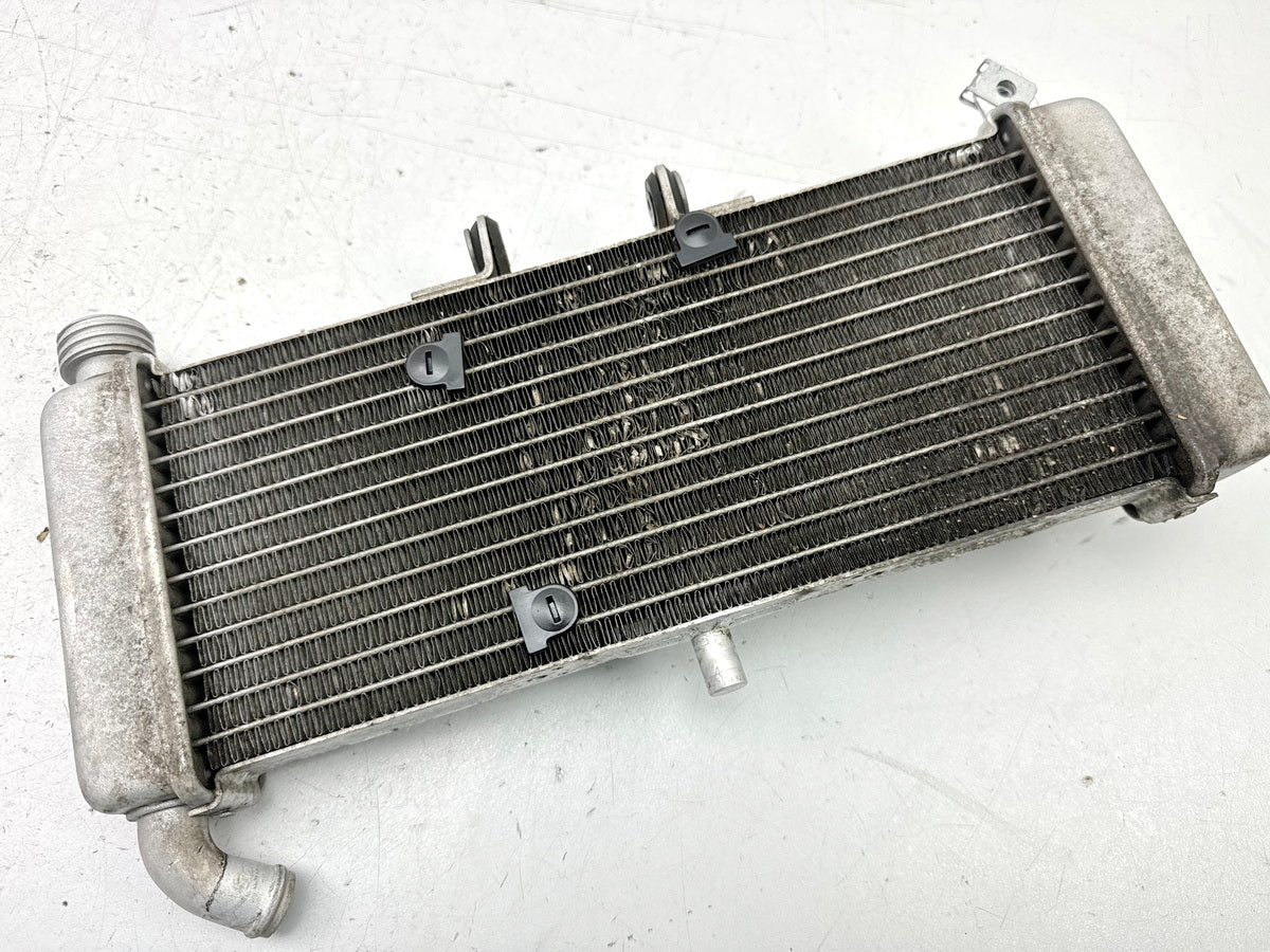 APRILIA RS 125 XA GP Replica Kühler original Wasserkühler Water Cooler