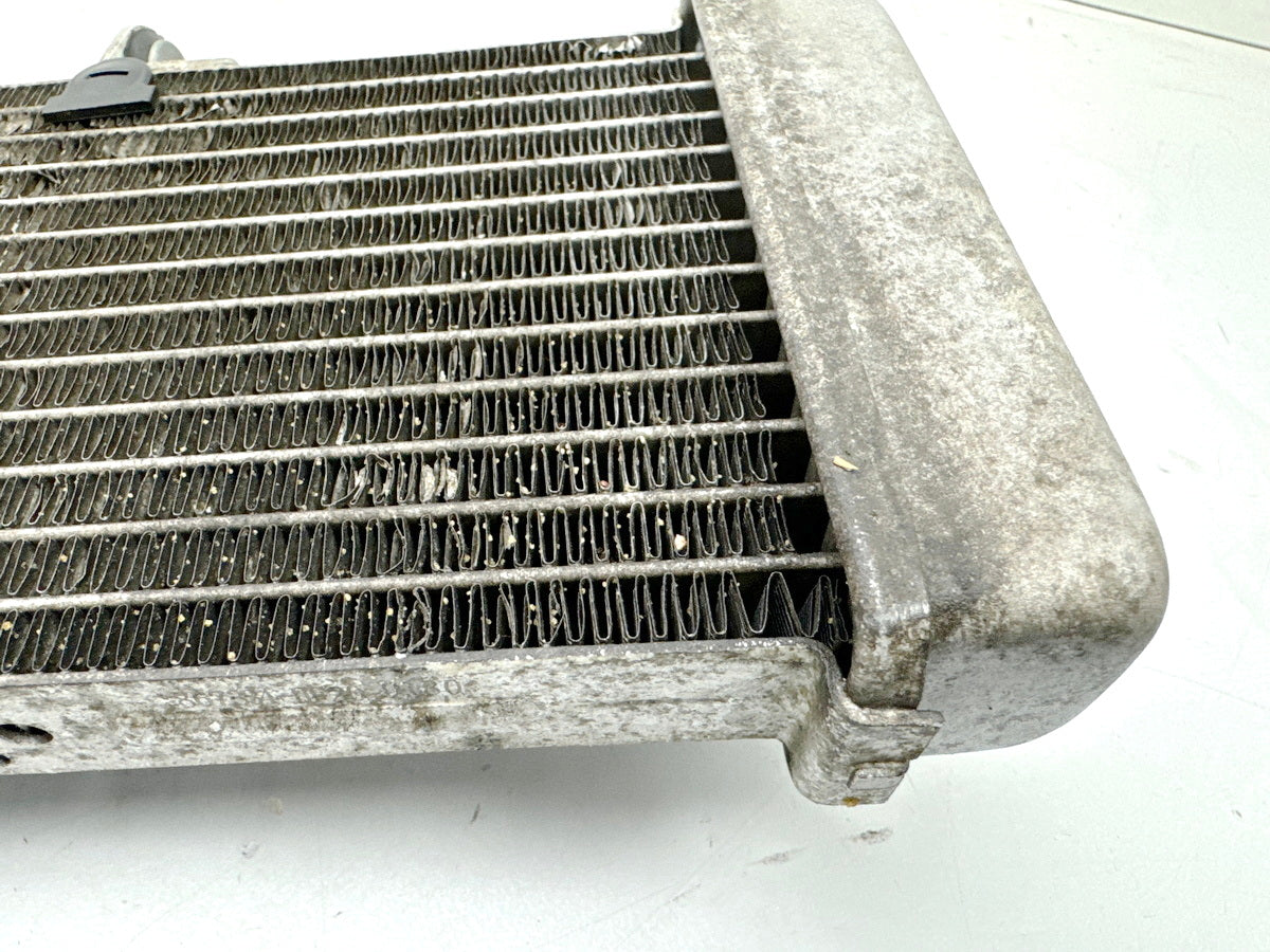 APRILIA RS 125 XA GP Replica Kühler original Wasserkühler Water Cooler