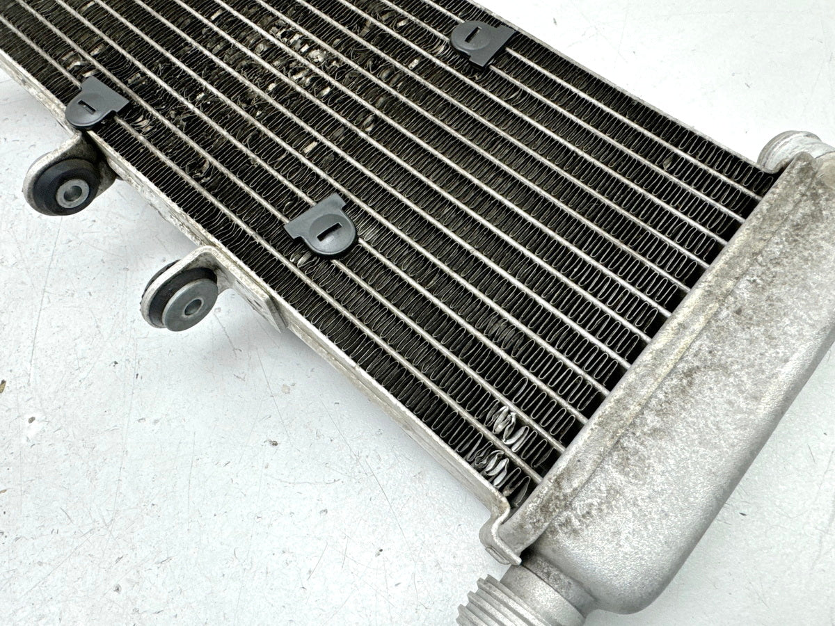 APRILIA RS 125 XA GP Replica Kühler original Wasserkühler Water Cooler