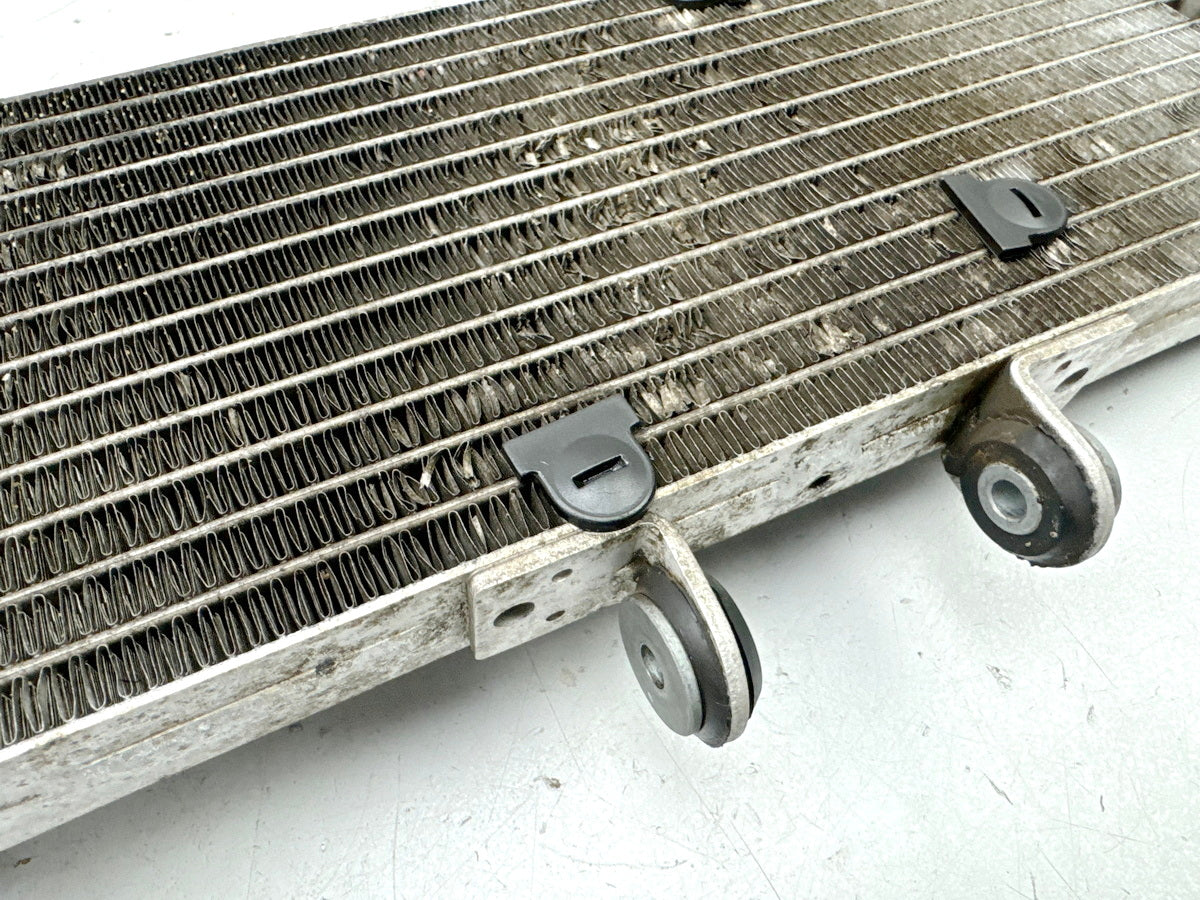 APRILIA RS 125 XA GP Replica Kühler original Wasserkühler Water Cooler
