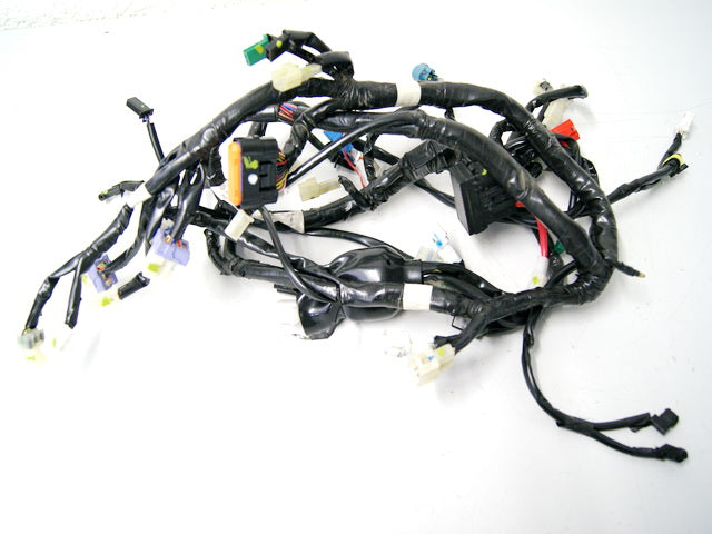 YAMAHA YZF-R 125 RE06 Mazo de cables principal (para motor)