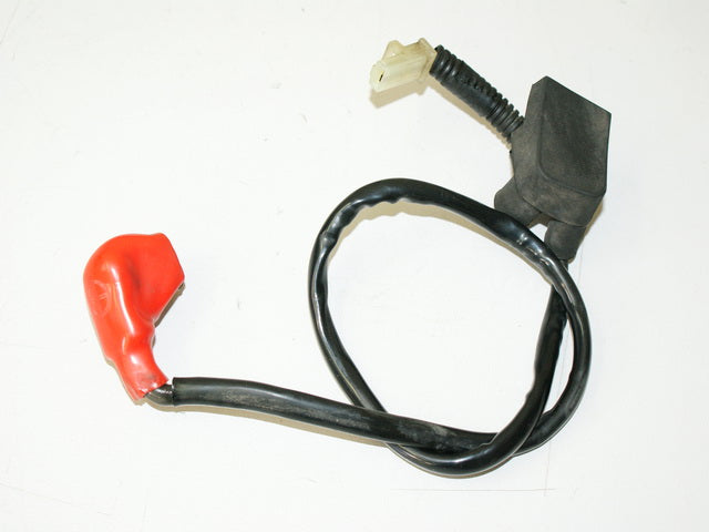 HONDA CB 900 SC48 HORNET Pluskabel Kabel Batterie (für Kabelbaum Motor)