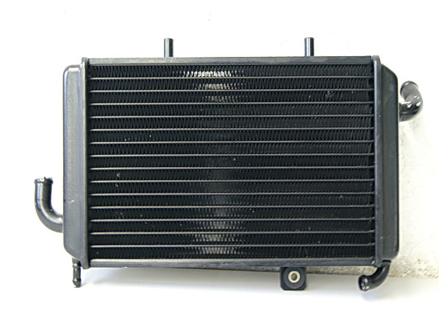 PIAGGIO EX 125 HEXAGON RADIADOR ENFRIADOR DE AGUA