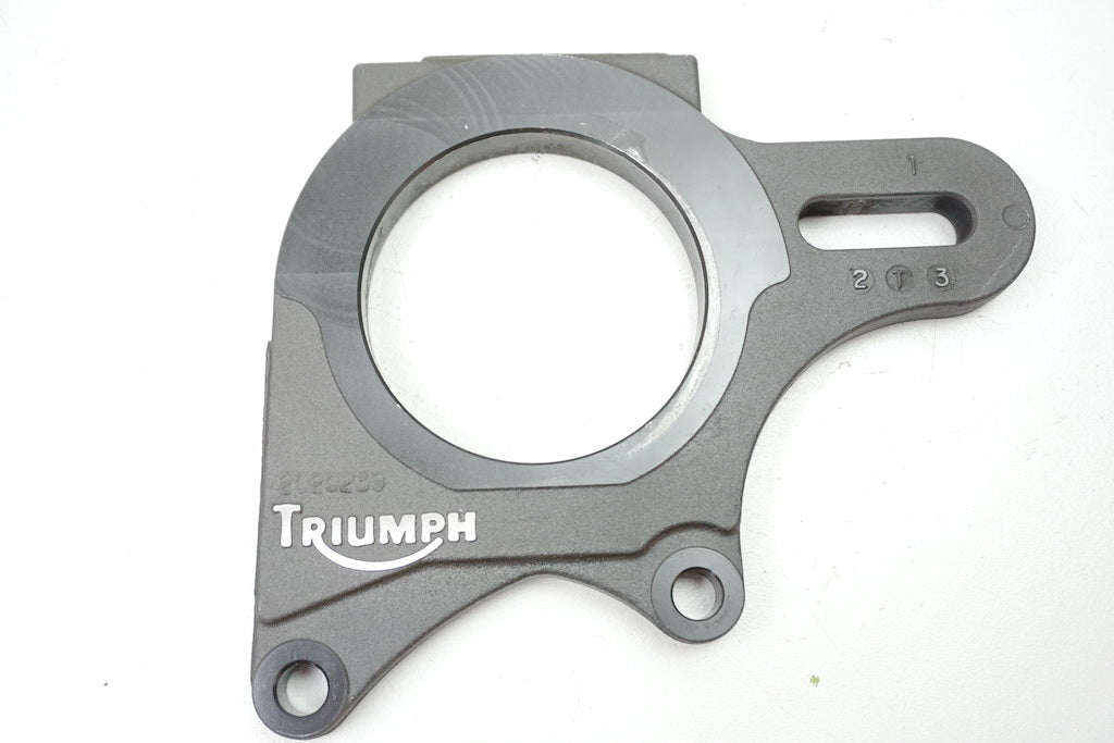 TRIUMPH SPEED TRIPLE 955 i 595 N PLACA DE ANCLAJE PINZA DE FRENO TRASERA