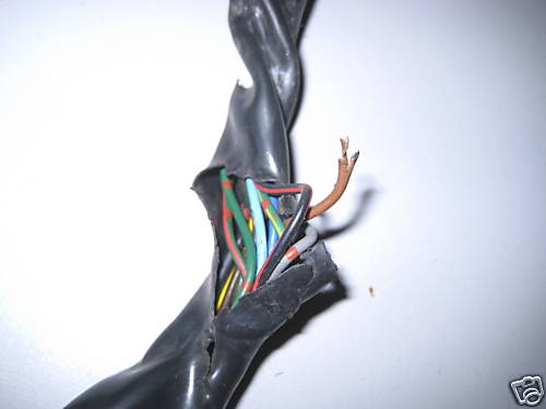YAMAHA YZF 600 4TV THUNDERCAT WIRING HARNESS CABLE SPEEDOMETER 96-02