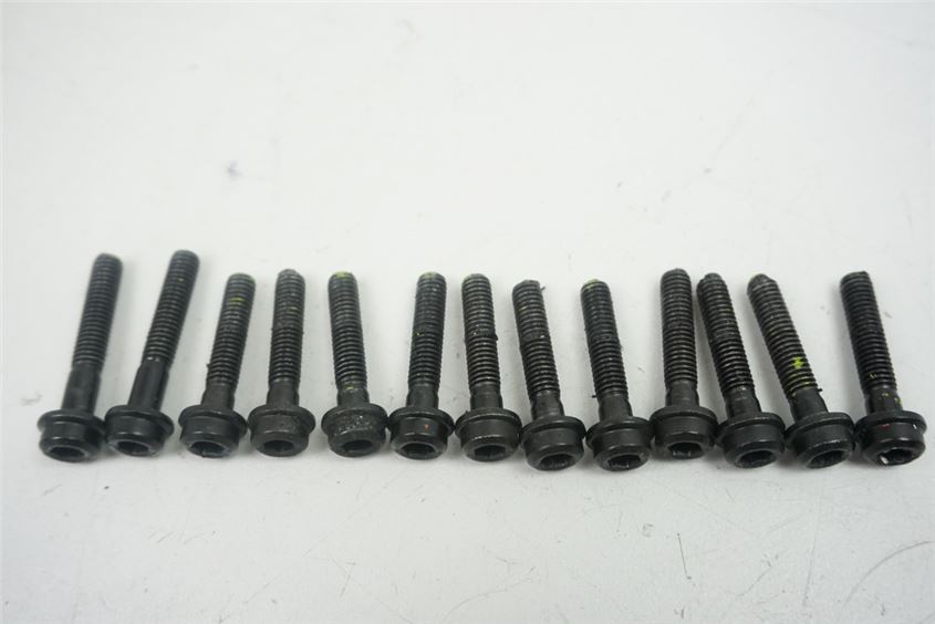 DUCATI DIAVEL 1200 CARBON G1 03 AA SCHRAUBEN LIMADECKEL SCREWS