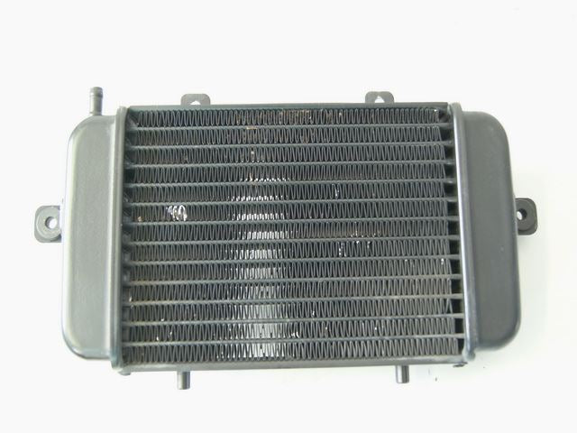 BMW C1 125 EXECUTIVE RADIATOR WATER COOLER