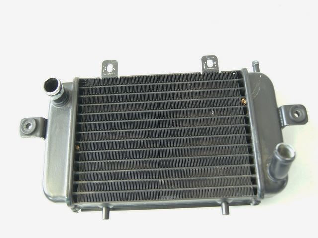 BMW C1 125 EXECUTIVE RADIATOR WATER COOLER