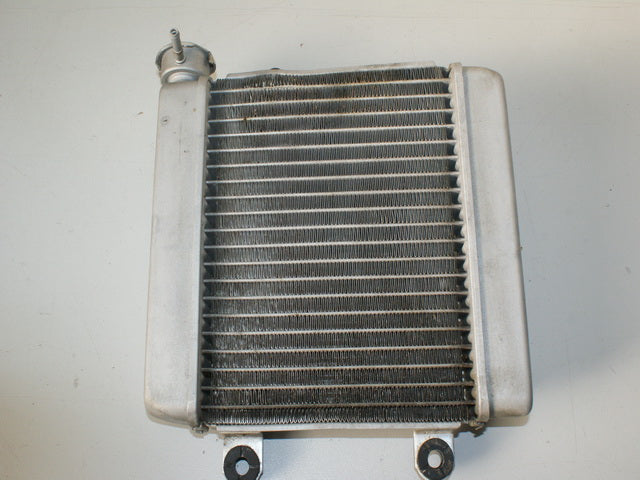 HONDA FES 125 JF12 PANTHEON KÜHLER RADIADOR DE AGUA